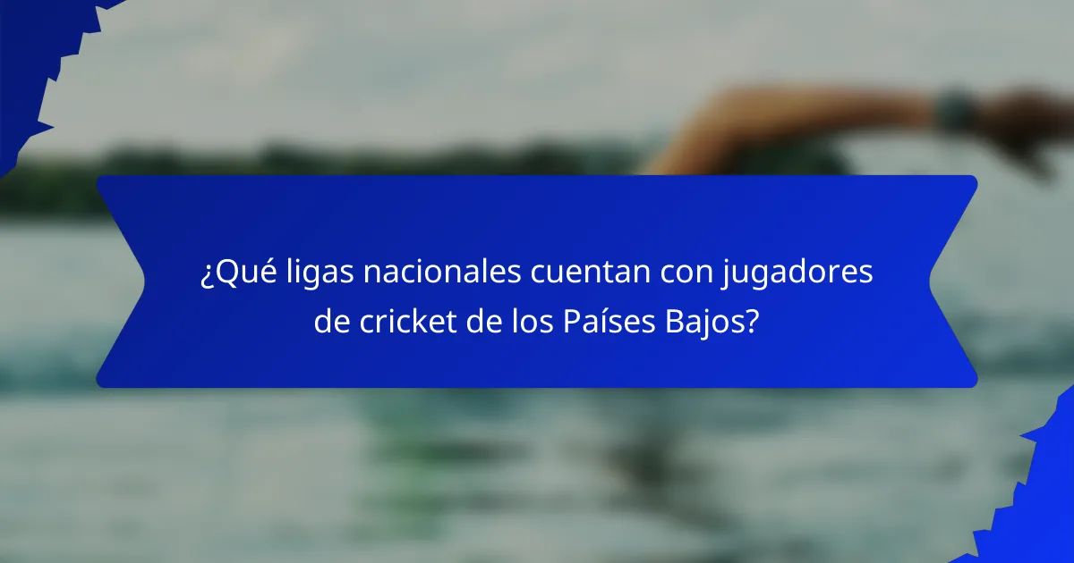 ¿Qué ligas nacionales cuentan con jugadores de cricket de los Países Bajos?